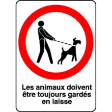 Tout chien doit être tenu en laisse